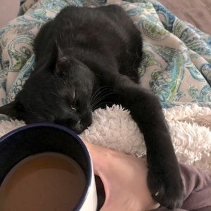 Meet your Posher, Ray.